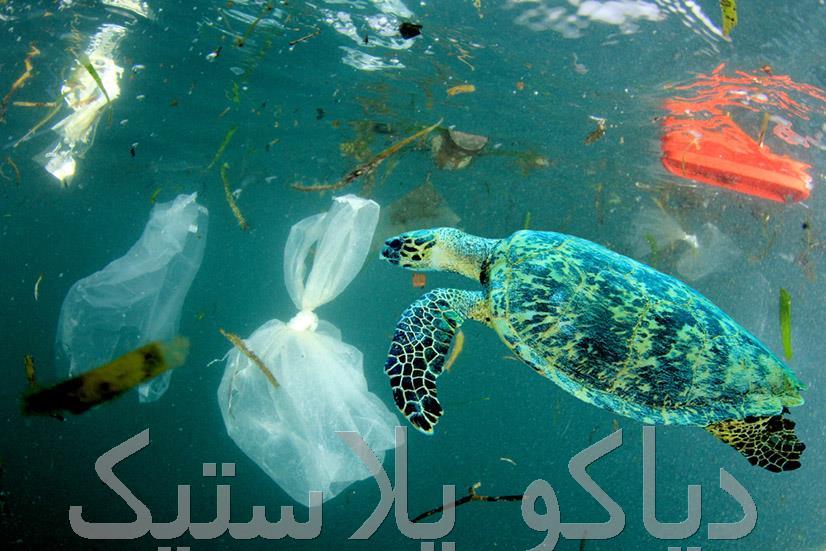 چقدر زباله در اقیانوسها وجود دارد؟ | بحران پلاستیک جهانی و راهحلهای پایدار چقدر زباله در اقیانوسها وجود دارد؟ | بحران پلاستیک جهانی و راهحلهای پایدار